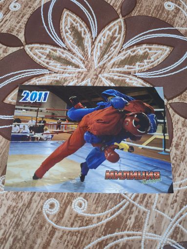 Реклама,пресса,2011