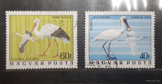 Венгрия. 1976 год. Фауна. Птицы (365)