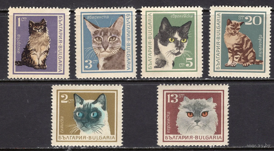 Болгария 1967 ** Фауна. Кошки \\Е7