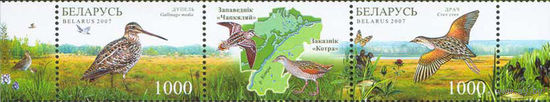 Природа заповедника "Чапкяляй" и заказника "Котра" Беларусь 2007 год (696-697) серия из 2-х марок с купоном в сцепке