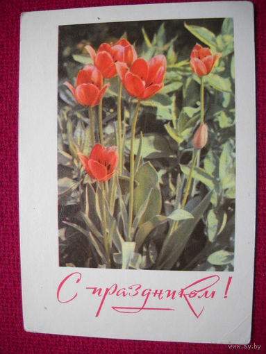 С праздником! Кропивницкий Заикин. 1968 г.