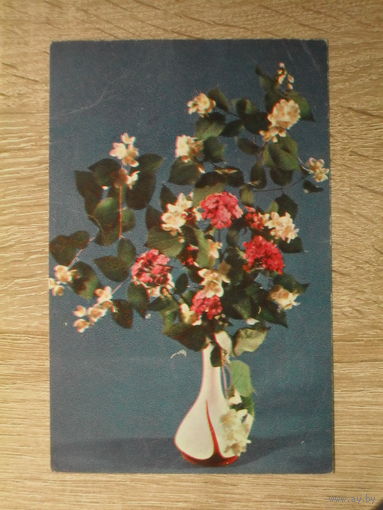 ПОДПИСАННАЯ ОТКРЫТКА СССР. "ВЕСЕННЕЕ НАСТРОЕНИЕ". ФОТО. М. МЕЗЕНЦЕВА. 1975 ГОД.