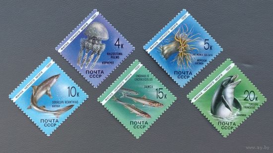 СССР.1991.Фауна Чёрного моря (полная серия 5 марок, чистые)