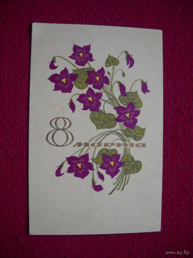 8 Марта! Елагина. 1967 г.