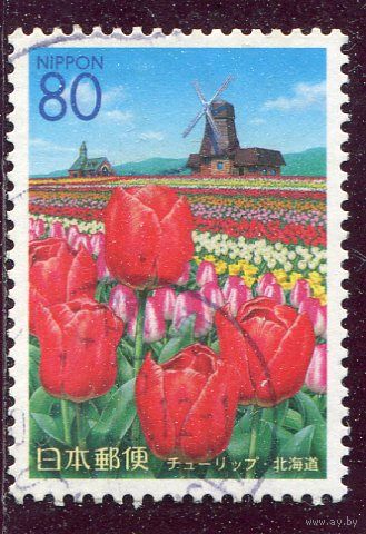 Япония. Цветы. Тюльпаны. Ветреная мельница