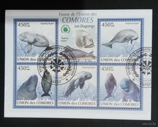 ФАУНА РЫБЫ МОРСКИЕ ОБИТАТЕЛИ    БЛОК  сто