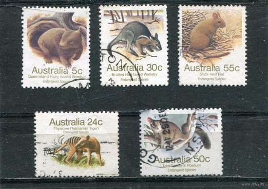 Австралия. Охраняемые виды фауны