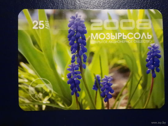 Календарик 2008 г.  Мозырьсоль.  25 лет.