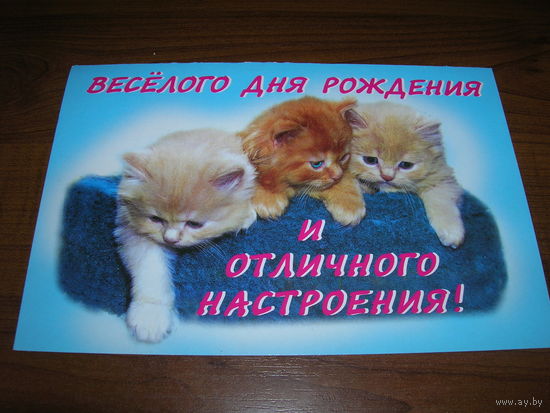 С Днем рождения Котята Двойная подписана