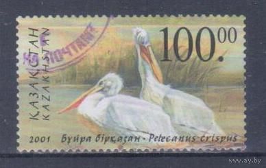[1759] Казахстан 2001. Фауна.Птицы.Белый пеликан. Концовка серии.Гашеная марка. Кат.гаш.3 е.