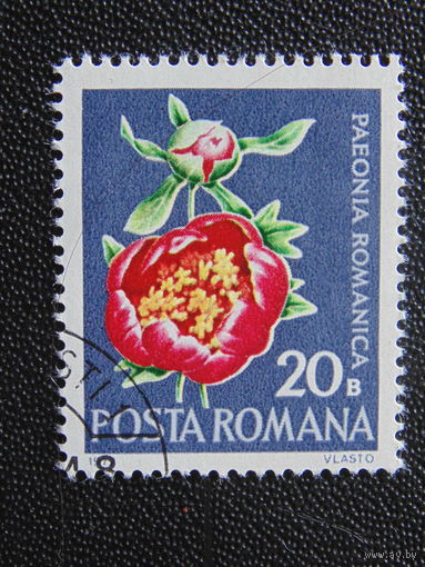 Румыния 1972 г. Цветы.