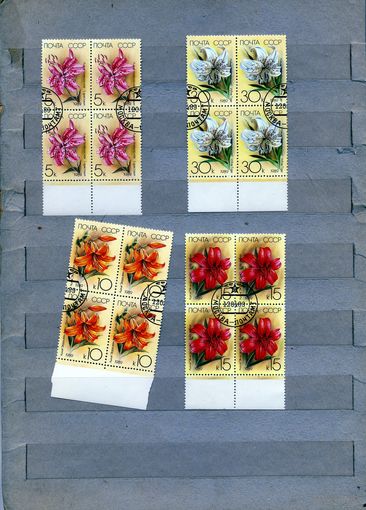СССР, 1989 , ЦВЕТЫ , серия4м,  в к/блок., гашеная