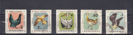 Фауна. Болгария. 1961. 5 марок. Michel N (- е).