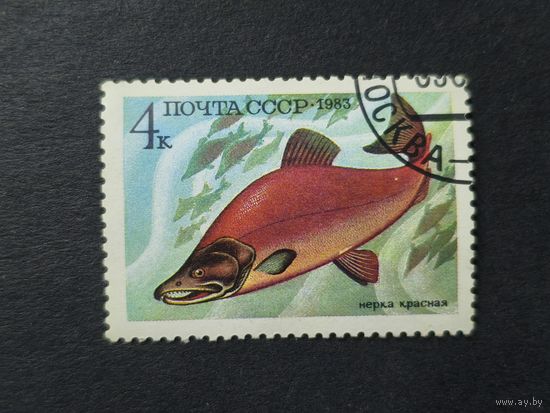 1983 СССР. Рыбы. Нерка красная