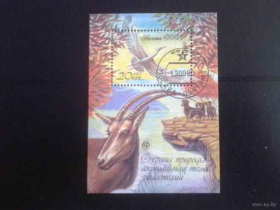 1990 Охрана дикой природы Блок