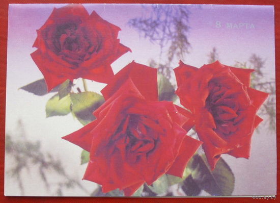 8 марта! Чистая. Двойная. 1989 года. Цицишвили. 1031.