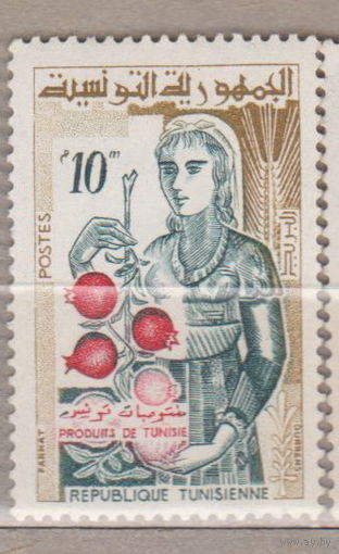 Жизнь в Тунисе флора Тунис 1959 год лот 5 ЧИСТАЯ