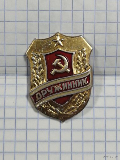 Дружинник.