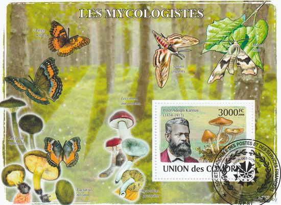 Коморы /микология/ 2008г