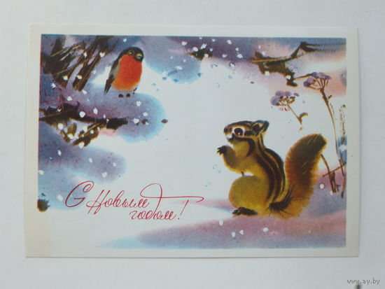 Каневский с новым годом 1981 10х15 см