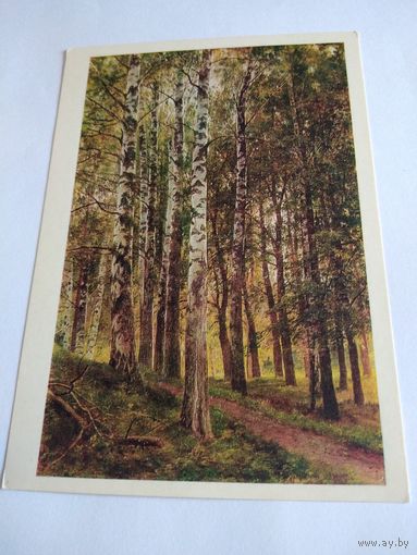 Открытка 1980г. И. Шишкин. Берёзовая роща.