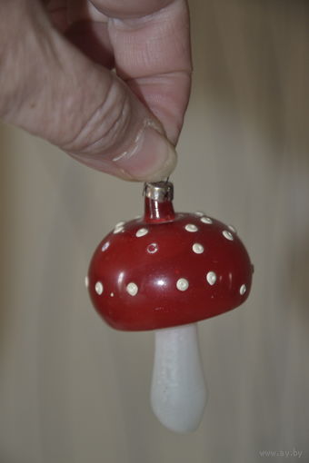 Грибок ГДР ёлочная