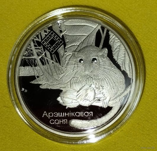 Заказник свитязянский, орешниковая соня.