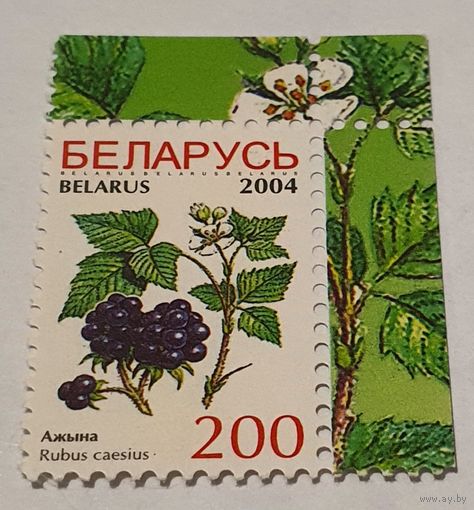Ягоды 2004 год