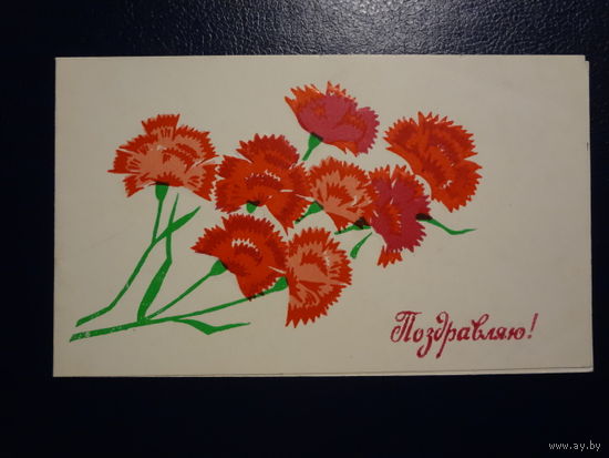 Поздравляю! Гвоздики. 1973 г. Пинская типогр. подписанная. двойная.