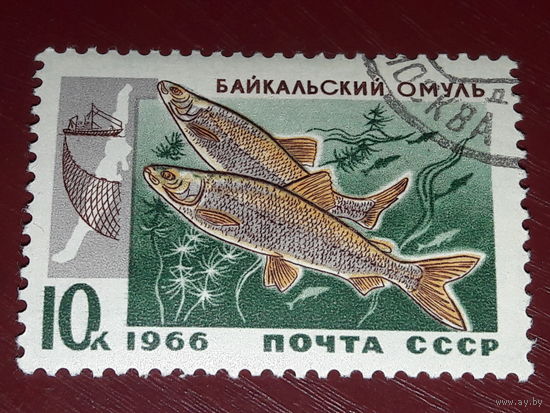 СССР 1966 Фауна. Промысловые рыбы Байкала