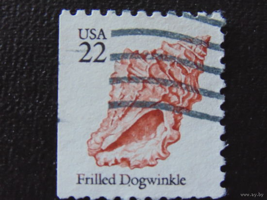 США. Флора.