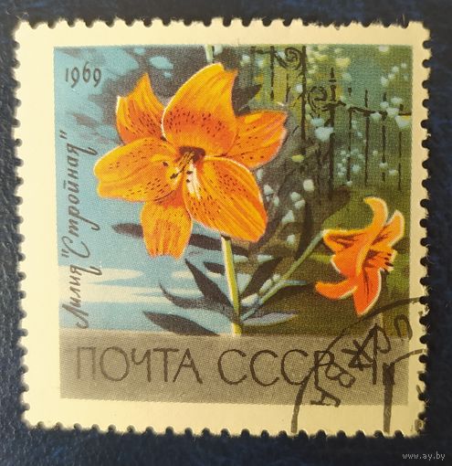 СССР 1969 ботанический сад АН , цветы, 1 из 5, клей.