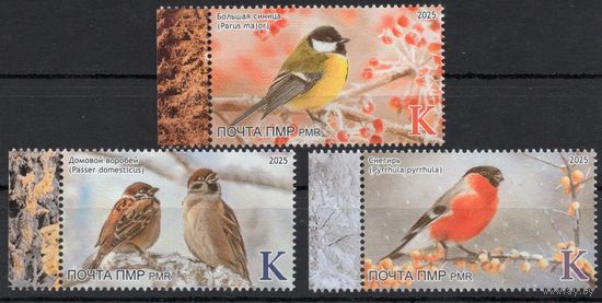 ПМР Приднестровье 2025. Фауна. Птицы. Снегирь. Синица. Воробей. 3 Марки (1008)