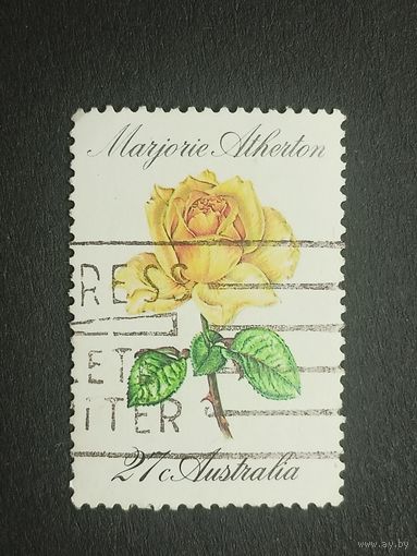 Австралия 1982. Розы