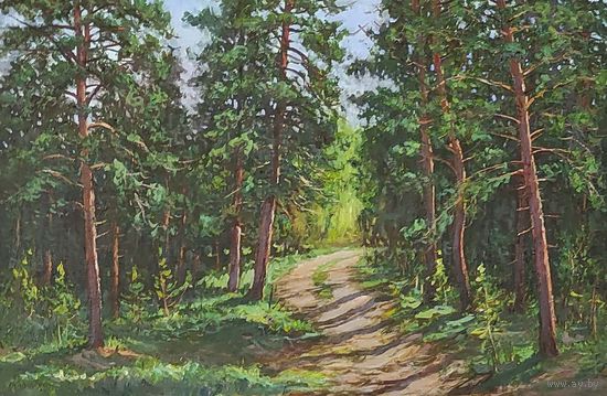 Дорога в сосновый лес