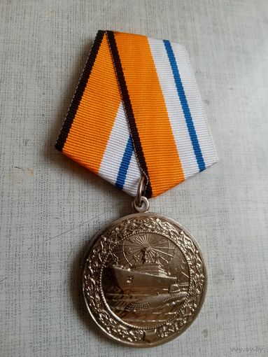 Медаль. За морские заслуги в Арктике.