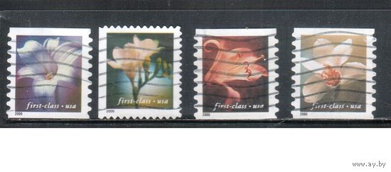 США-2000 (Мих.3395-3398) , гаш. , Стандарт, 1-й класс, Цветы (полная серия)