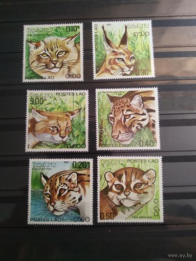Лаос 1981 г. Дикие кошки.
