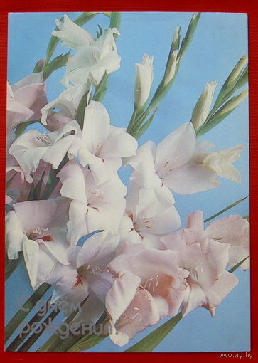 С Днём Рождения! Подписанная.  1982 года. Костенко # 375.