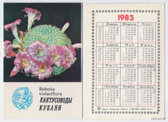 Календарь Кактусоводы Кубани 1985