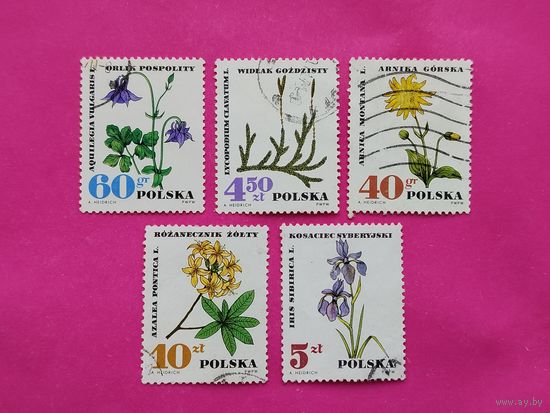 Польша. Цветы. Флора. ( 5 марок ) 11-4.