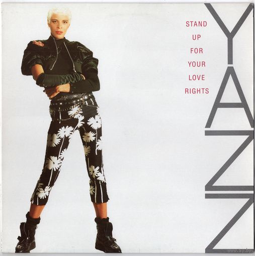 12" Yazz 'Stand Up for Your Love Rights'