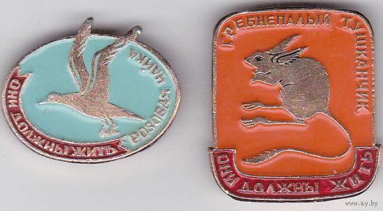 Розовая чайка и гребнепалый тушканчик. (Остался 1 значок).
