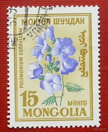 Монголия. Цветы. ( 1 марка ). 4-10.