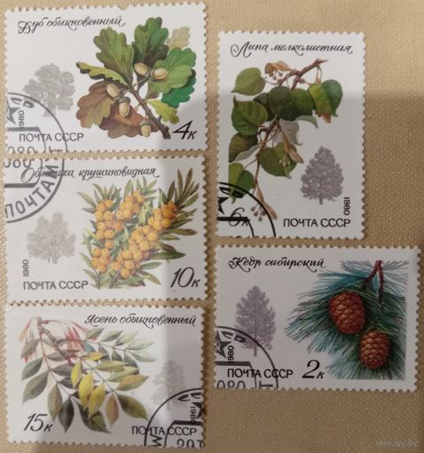 СССР 1980. Охранаяемые виды деревьев и кустарников. Полная серия