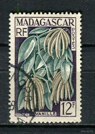 Французские колонии - Мадагаскар - 1957 - Флора и фауна 12Fr - [Mi.438] - 1 марка. Гашеная.  (Лот 81Fw)-T25P35