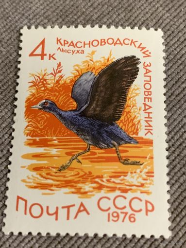 СССР 1976. Лысуха. Марка из серии