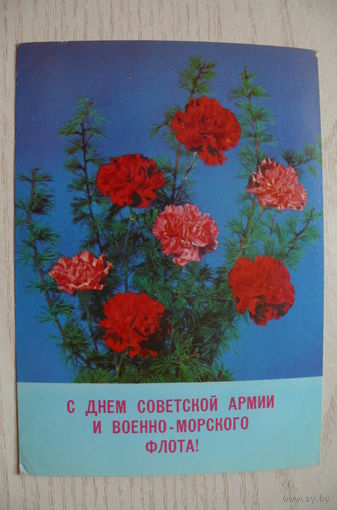 Круцко Б., С днем СА и ВМФ! 1989, подписана.