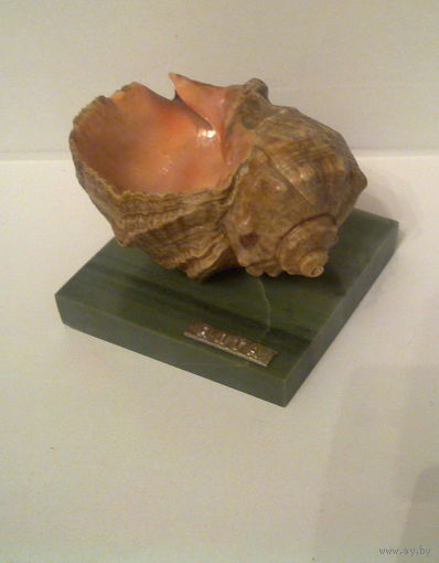 Сувенир из Крыма Ялта Ракушка на натуральном камне яшма
