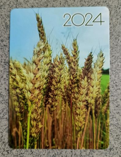 Календарик карманный 2024 колосья пшеницы флора